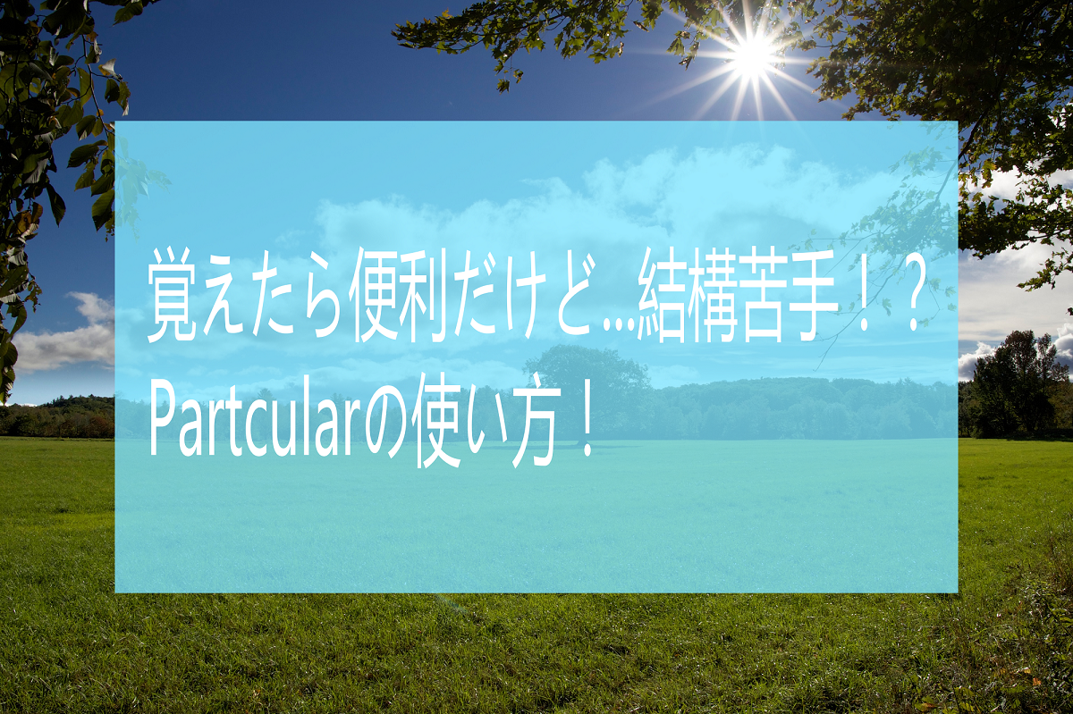 partcularの使い方