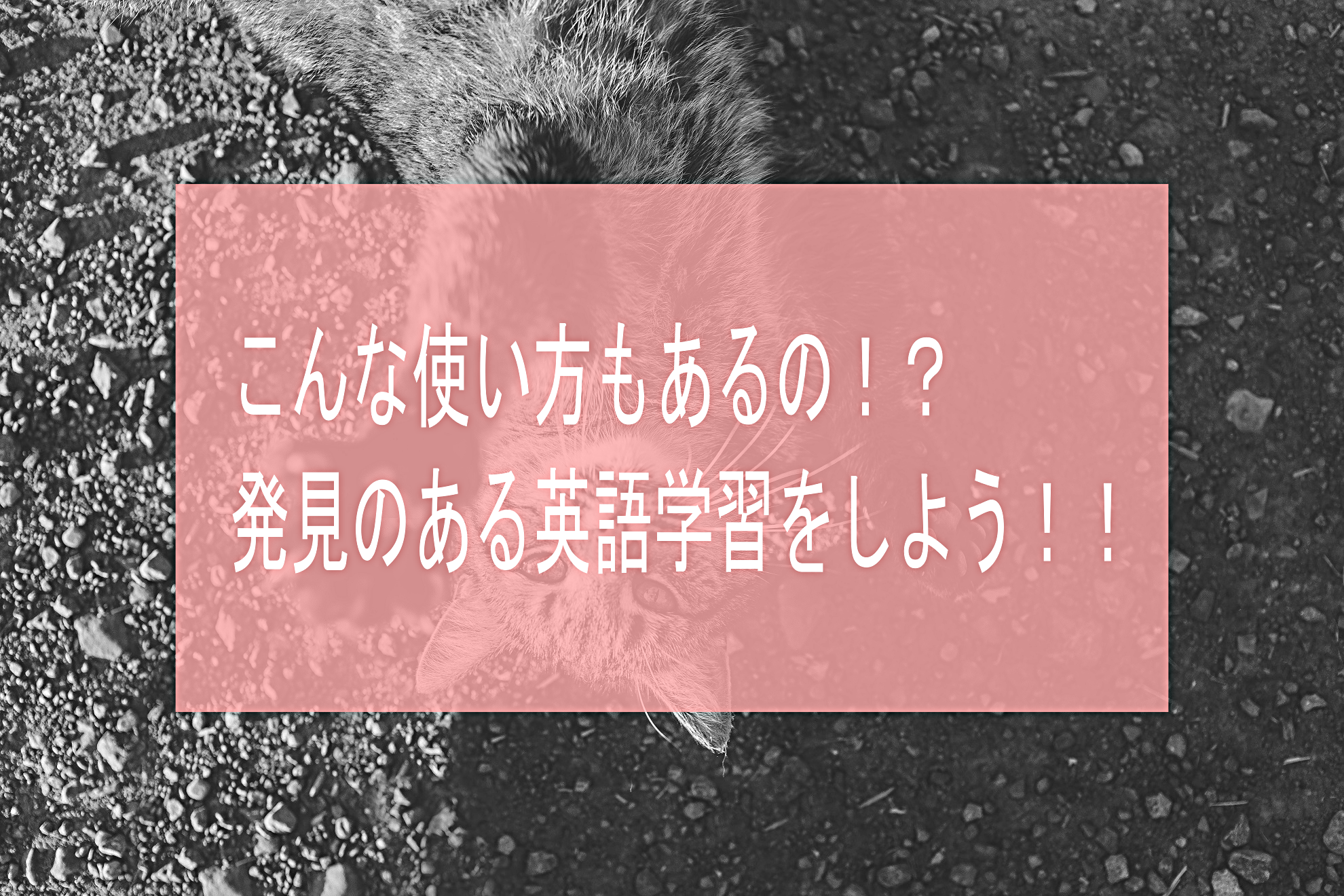 こんな使い方もあるの？発見のある英語学習をしよう！