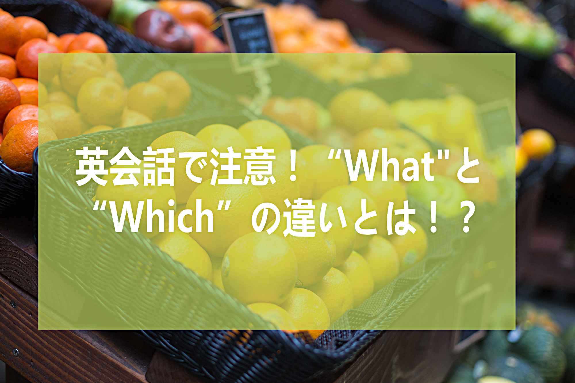 英会話で注意！“what”と”Which”の違いとは！？